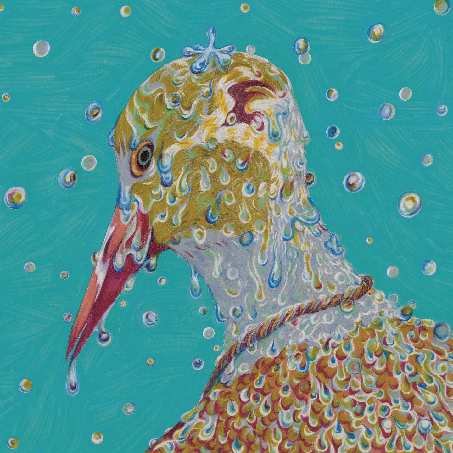 Morning Ritual - Front Cover