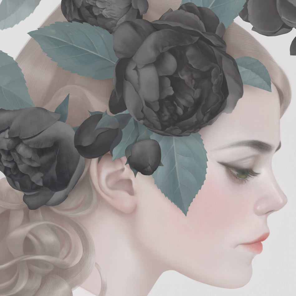 Roses - Front Cover