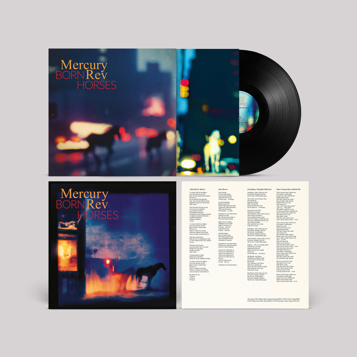 Born Horses - Front Cover