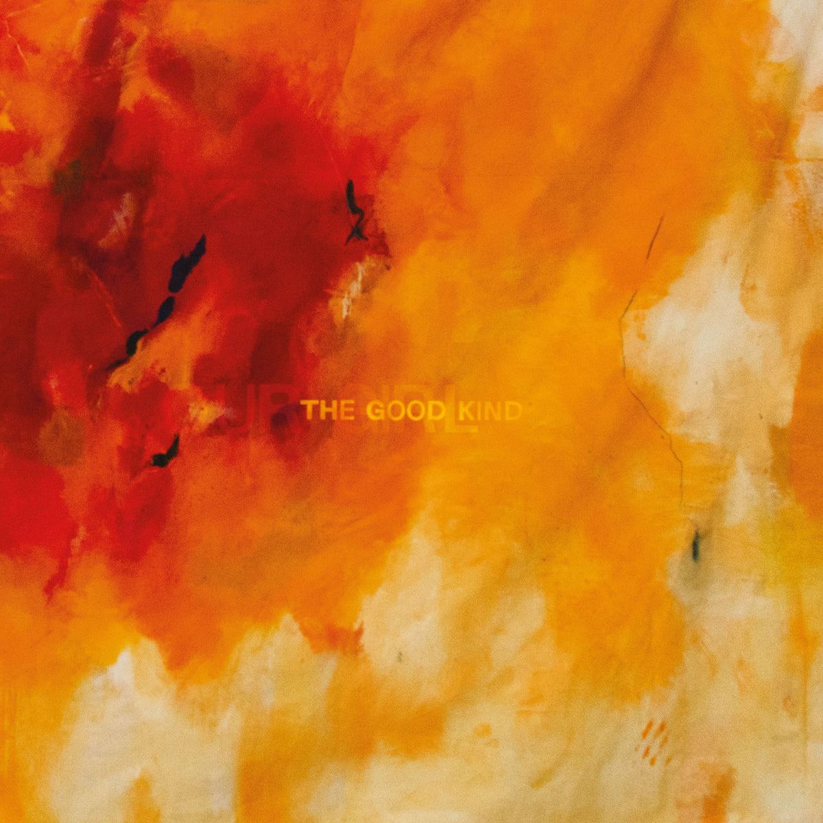 The Good Kind Vinyle Couleur Transparent - Front Cover