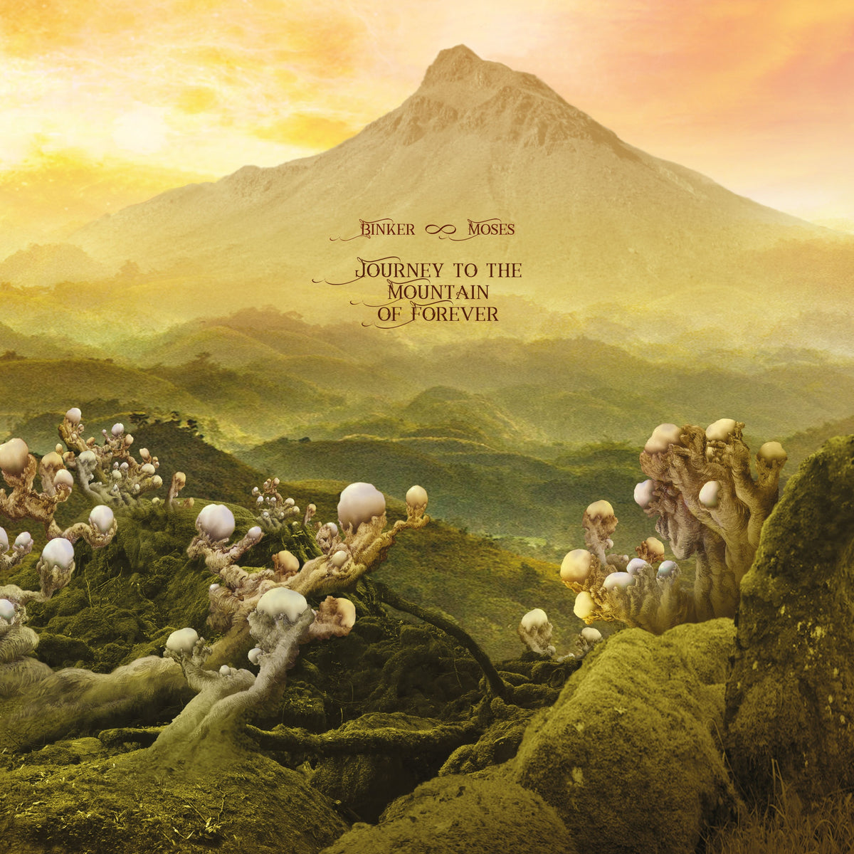 Journey To The Mountain Of Forever - Front Cover