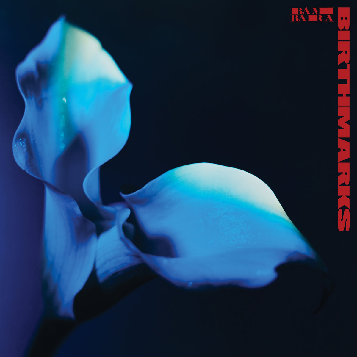 Birthmarks - Front Cover