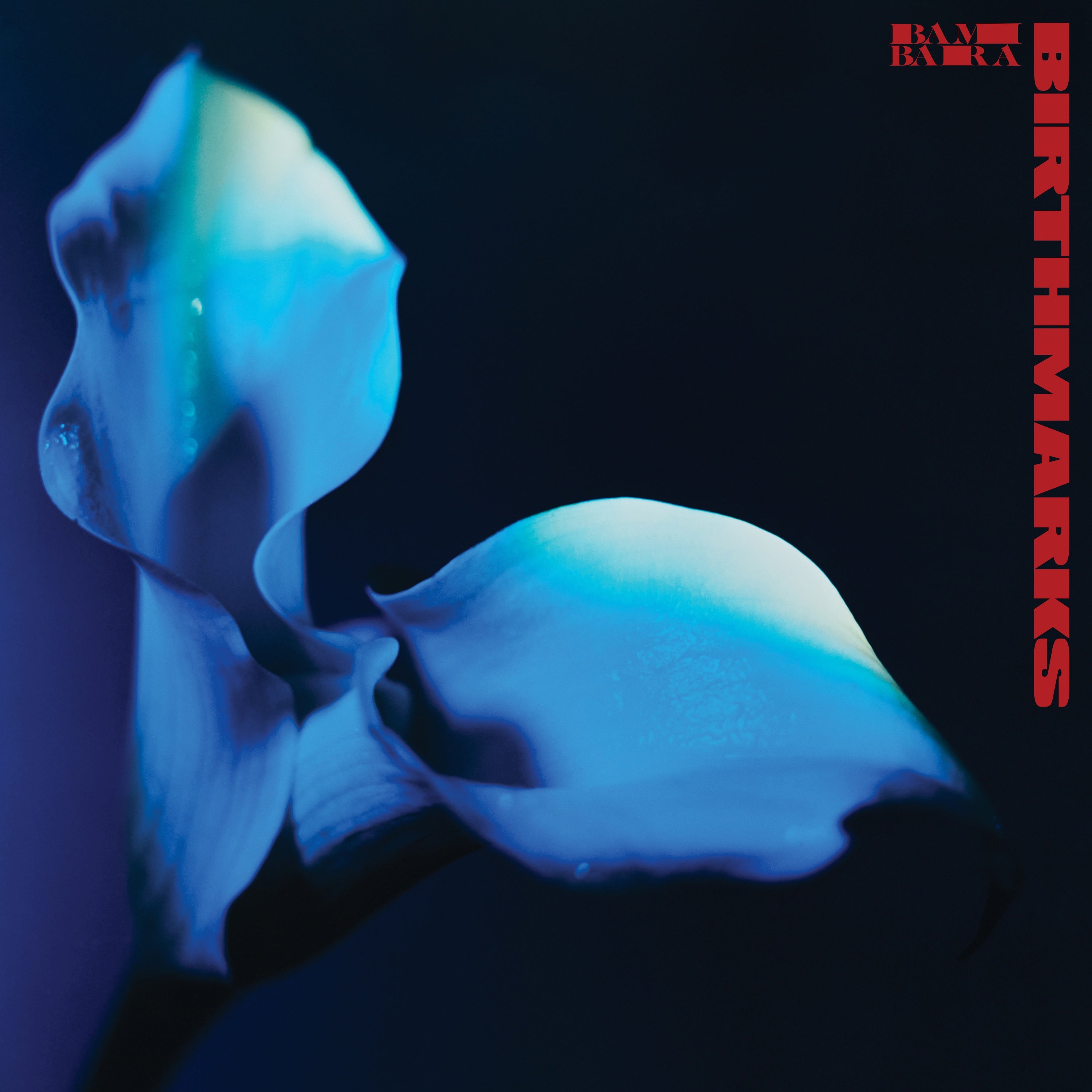 Birthmarks - Front Cover