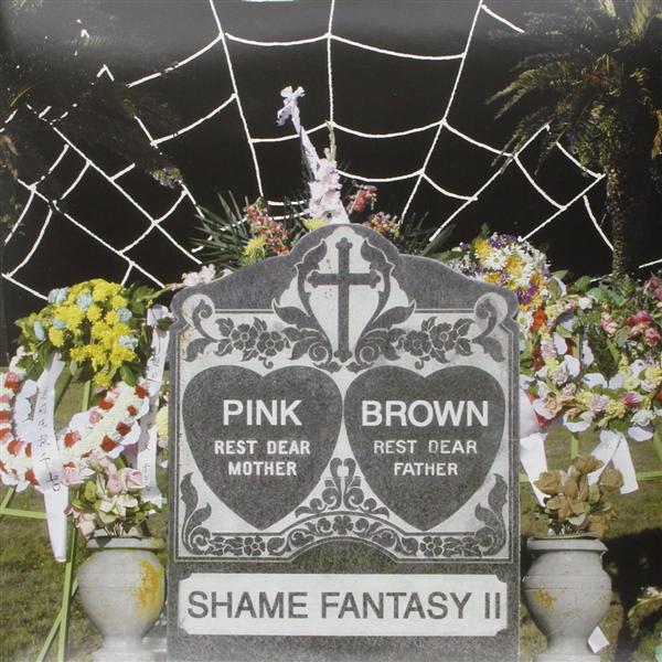 Every Shade of Pink And Brown - Front Cover