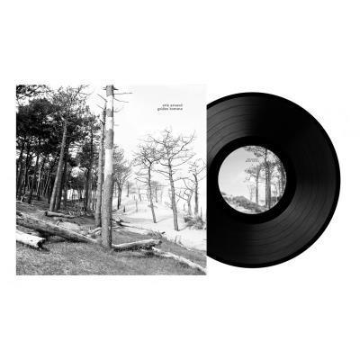 Golden homme - Front Cover