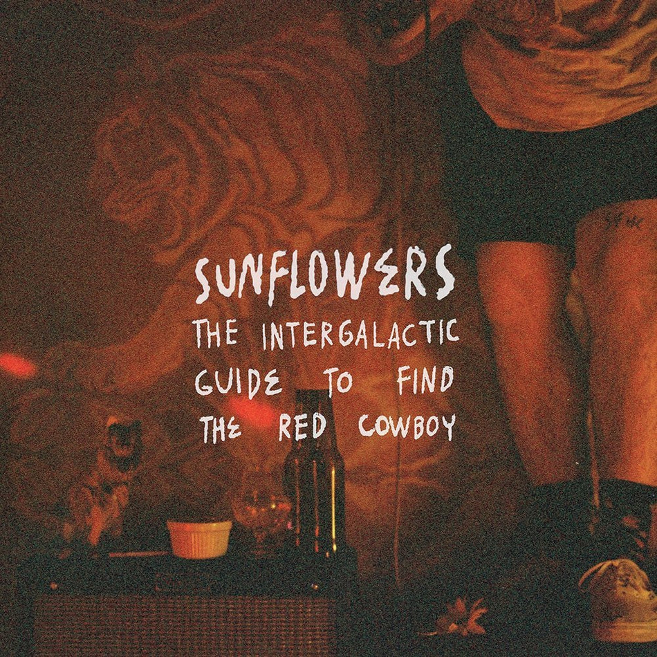 The Intergalactic Guide To Find The Red Cowboy - Front Cover