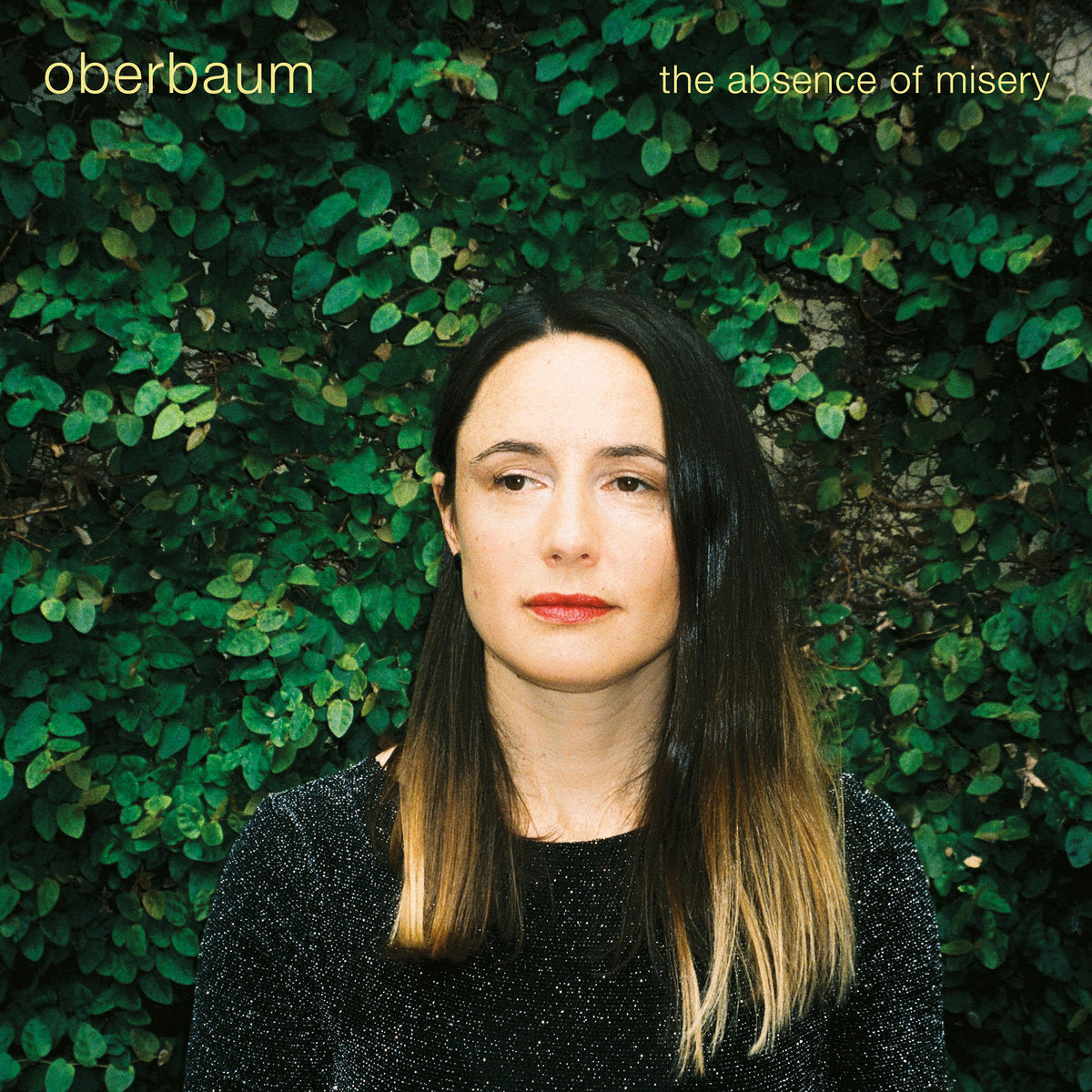 The Absence of Misery - Front Cover