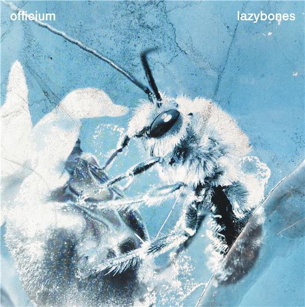 Lazybones - Front Cover