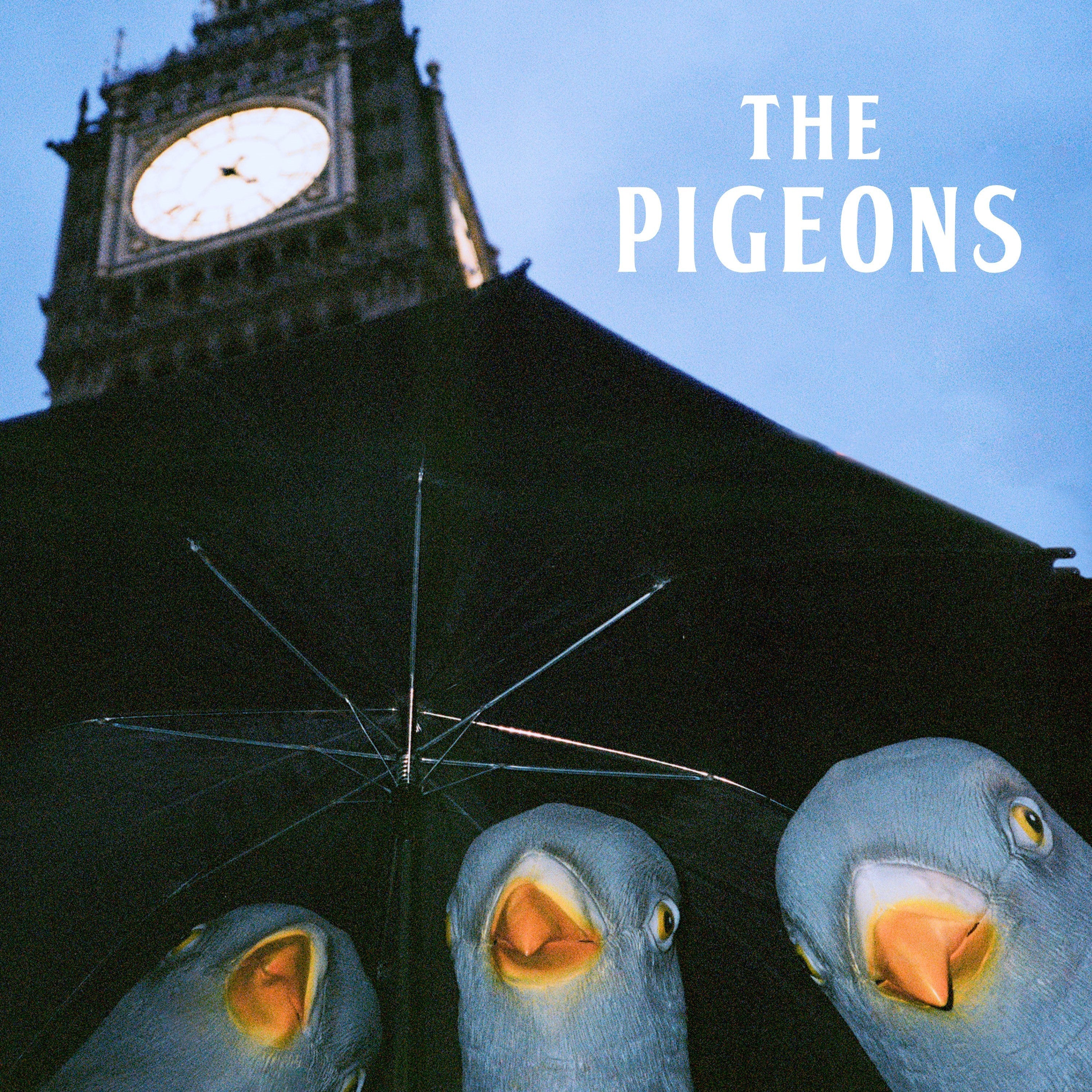 Bird Brain Gang - Front Cover