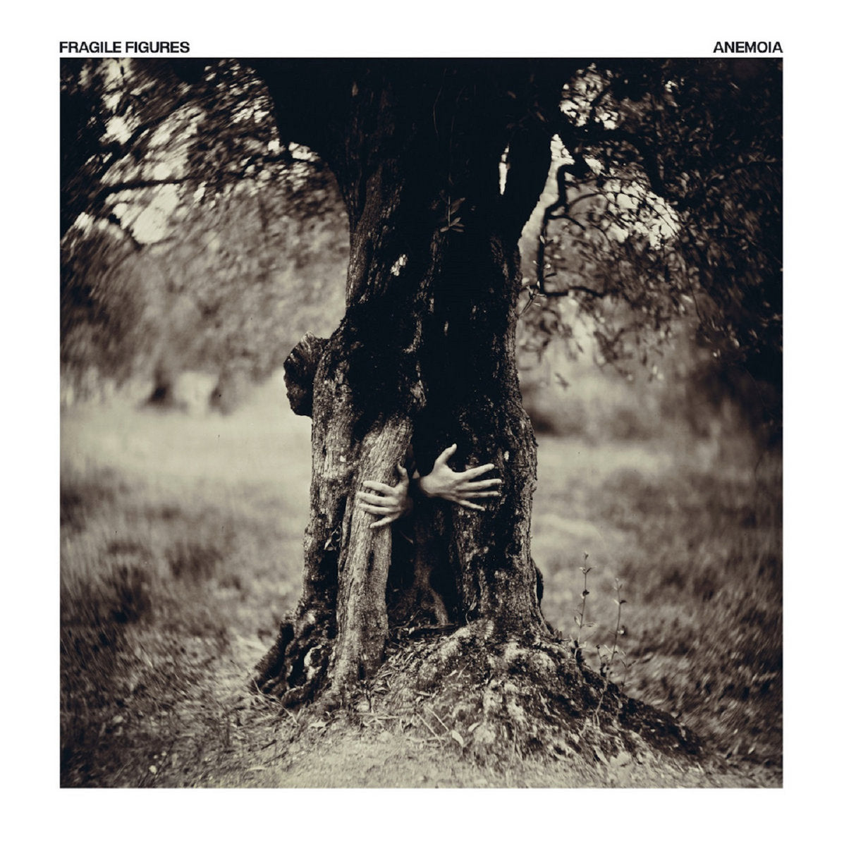 Anemoia - Front Cover