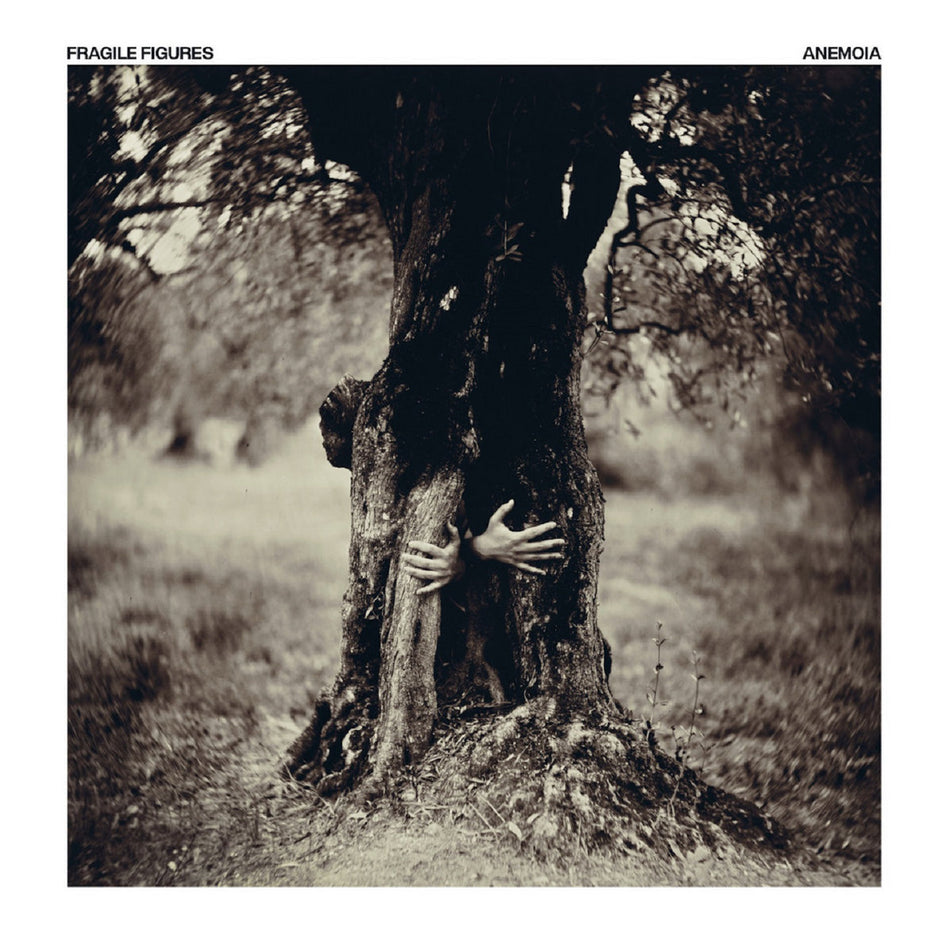 Anemoia - Front Cover