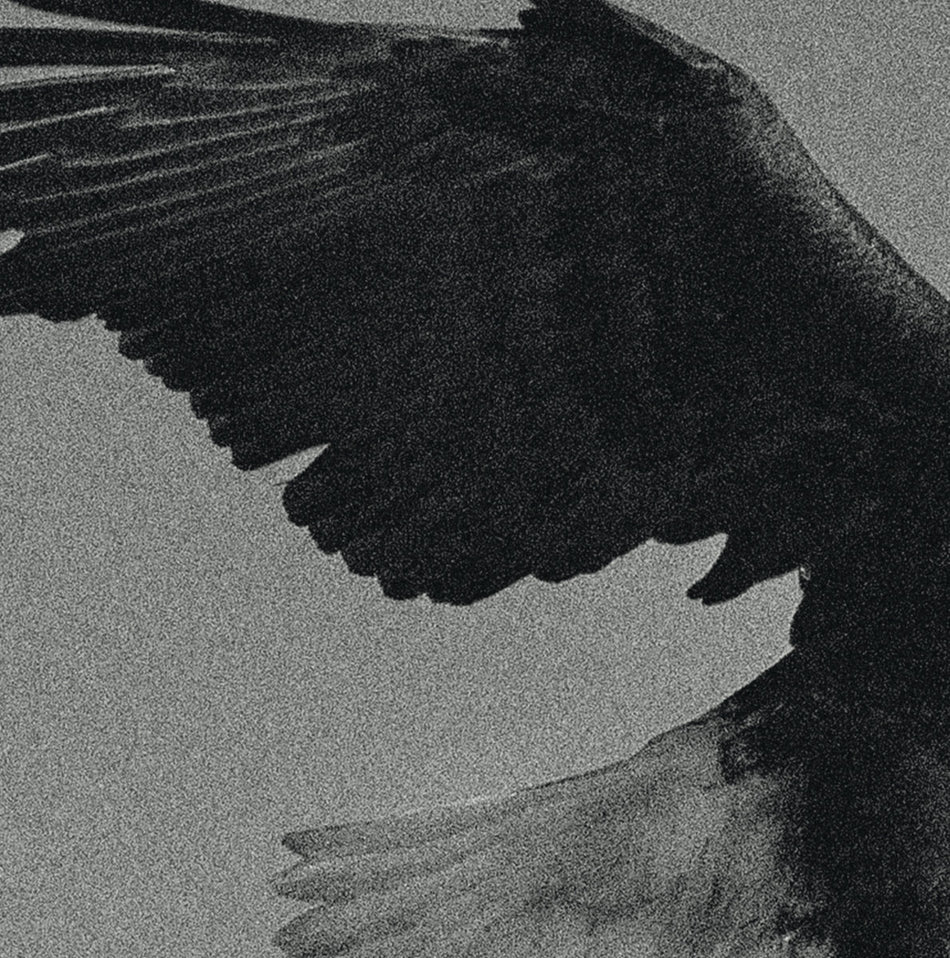 Over The Sand - Front Cover