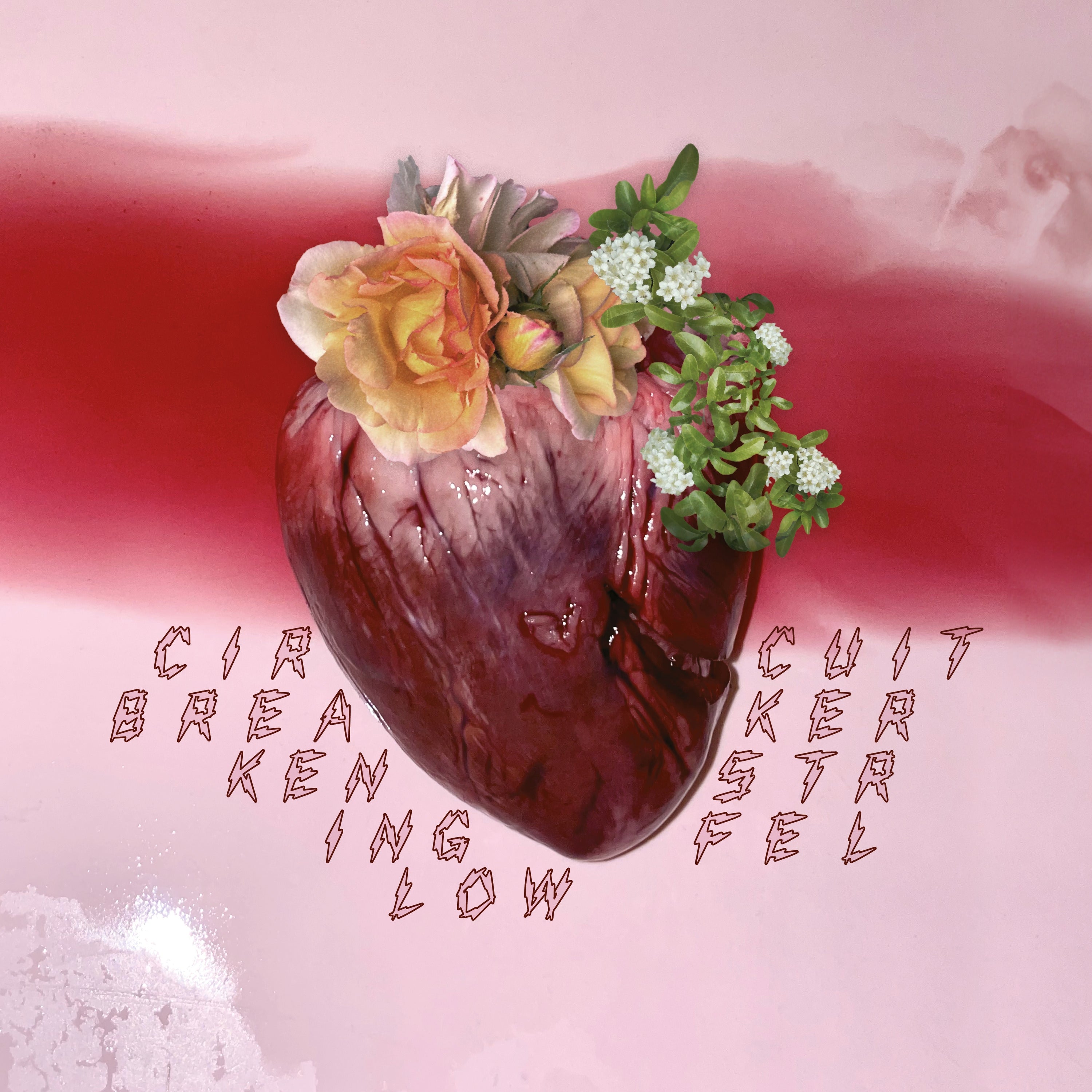 Circuit Breaker - Front Cover