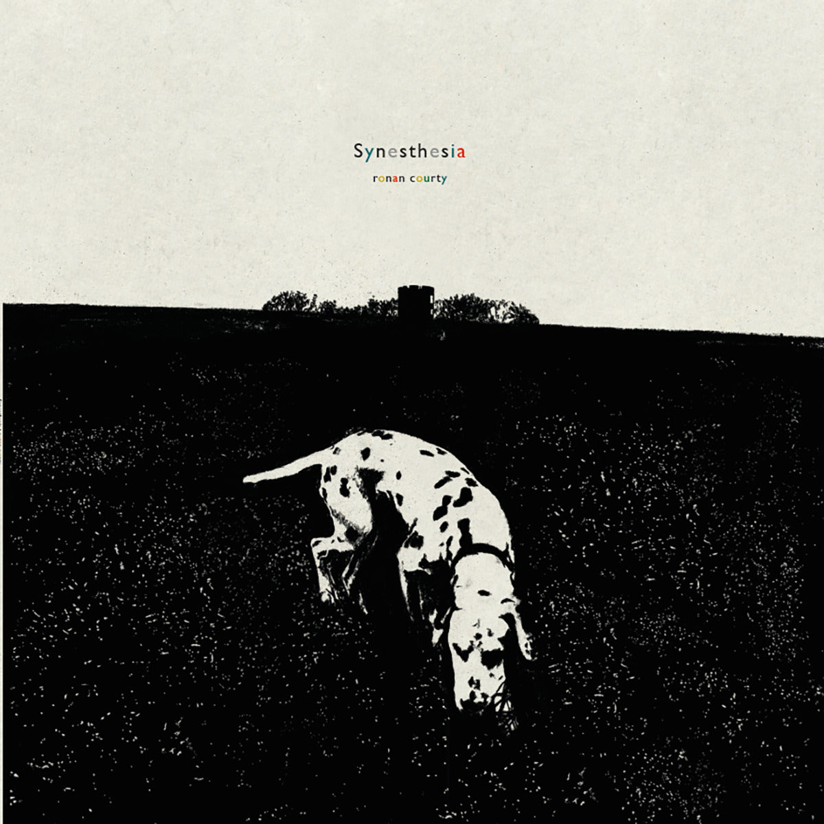 Synesthesia - Front Cover