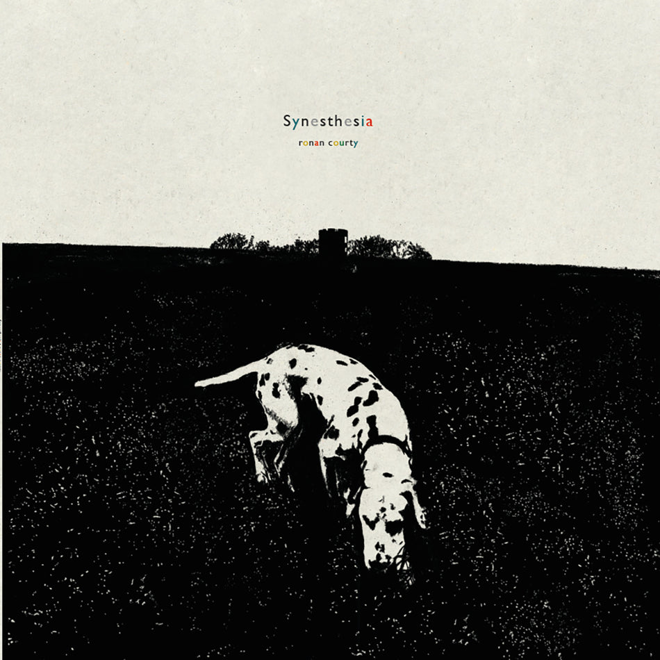 Synesthesia - Front Cover