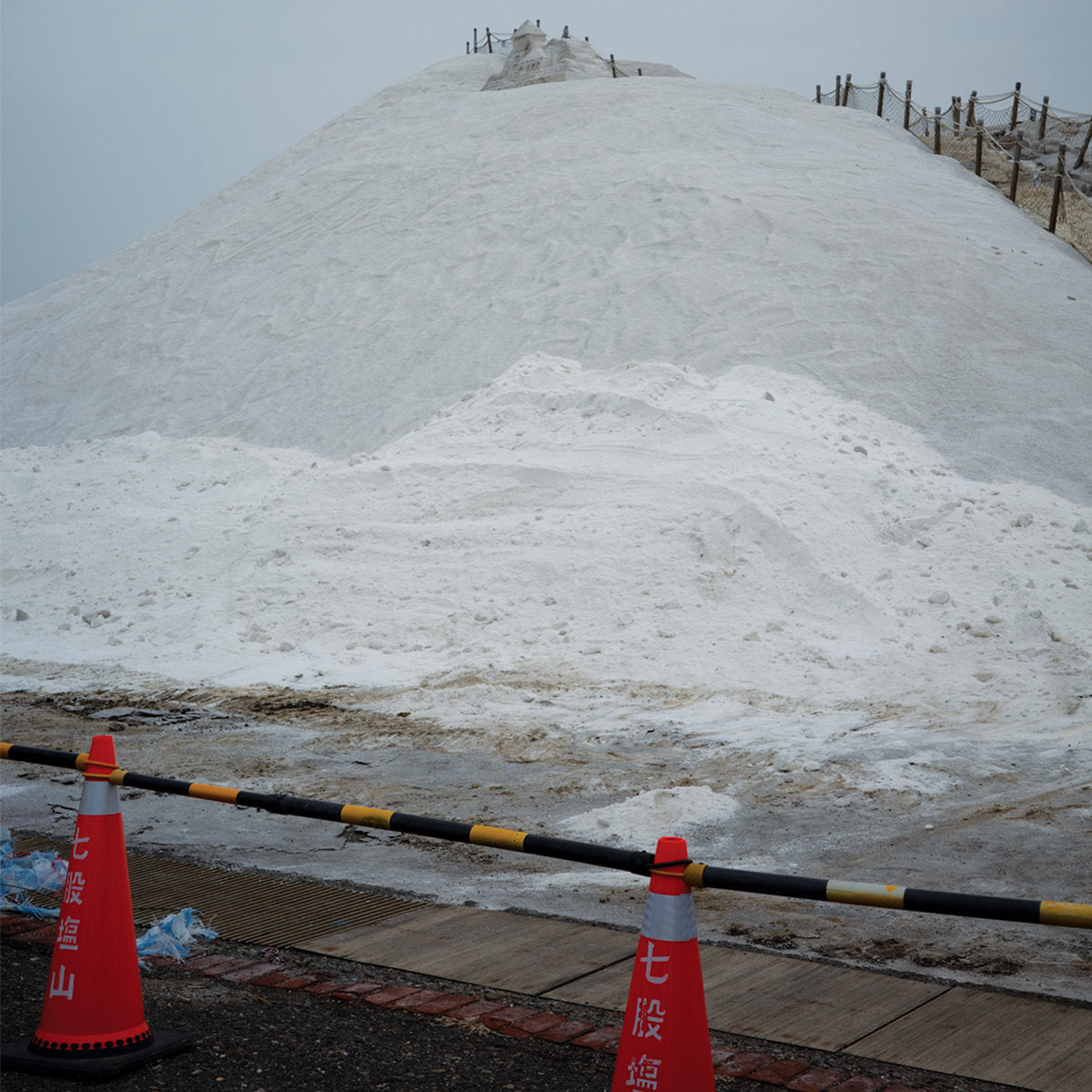 Artificial Salvation - Front Cover