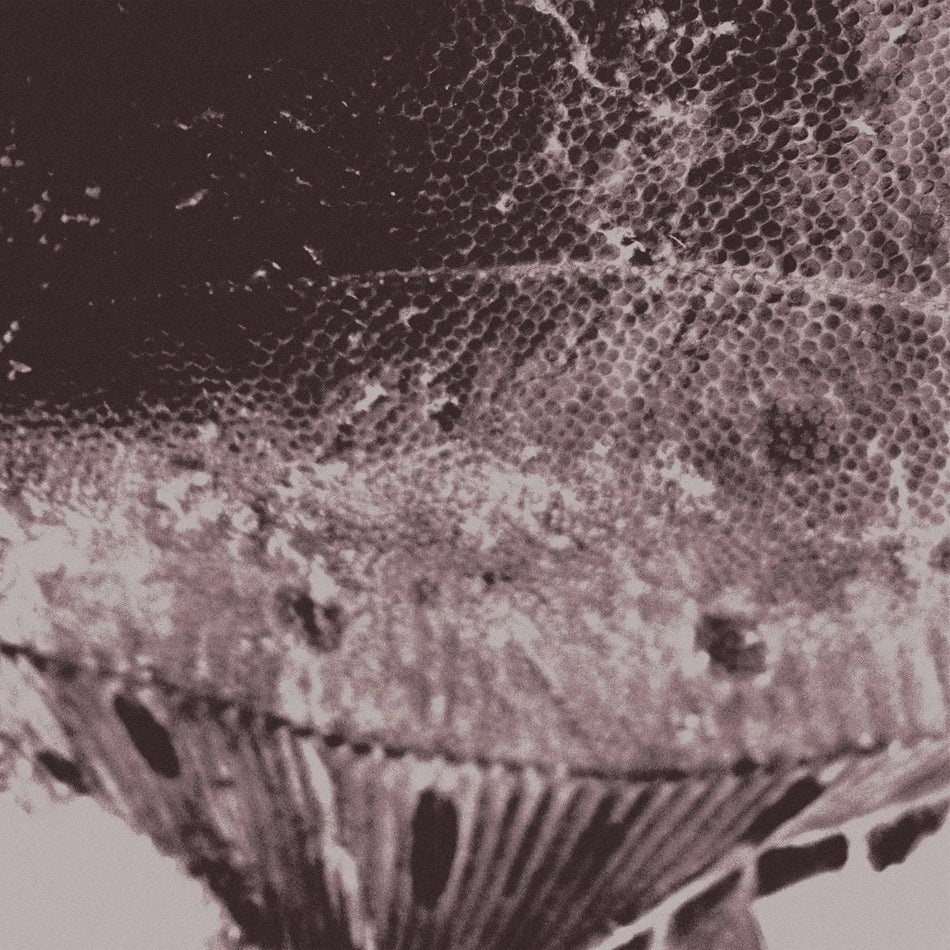 Flounder Maps - Front Cover