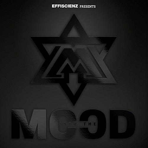 Into the mood - Front Cover
