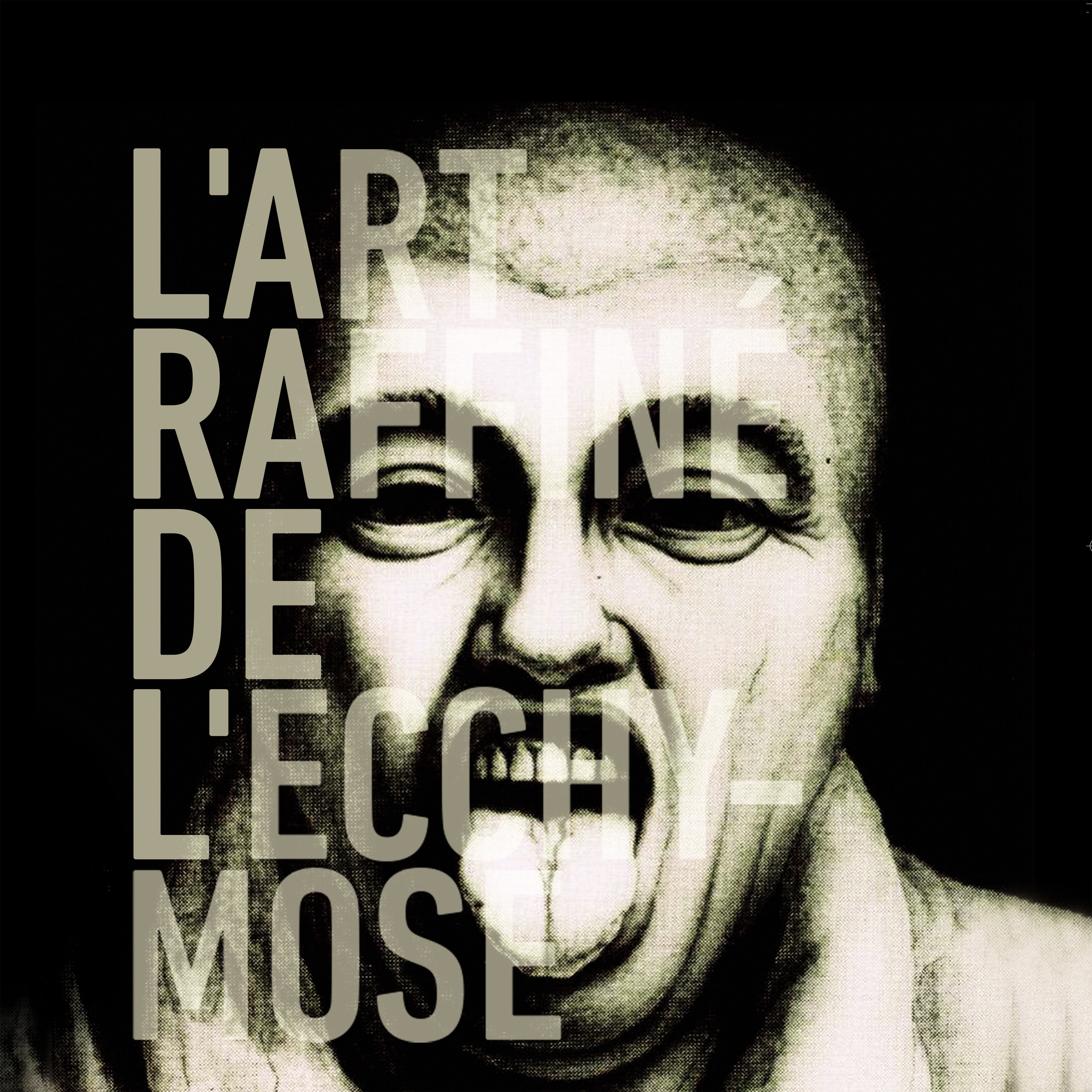 L'Art Raffiné De L'Ecchymose - Front Cover