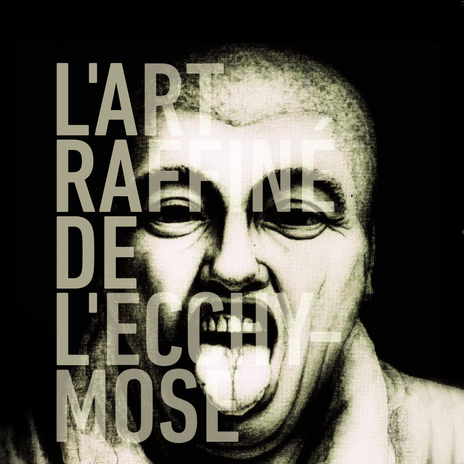 L'Art Raffiné De L'Ecchymose - Front Cover