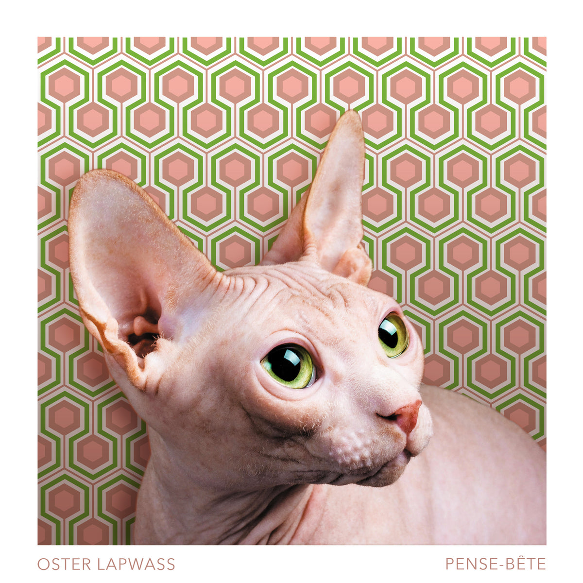 Pense-Bête - Front Cover