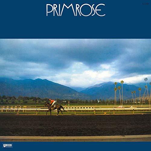 Primrose - Front Cover