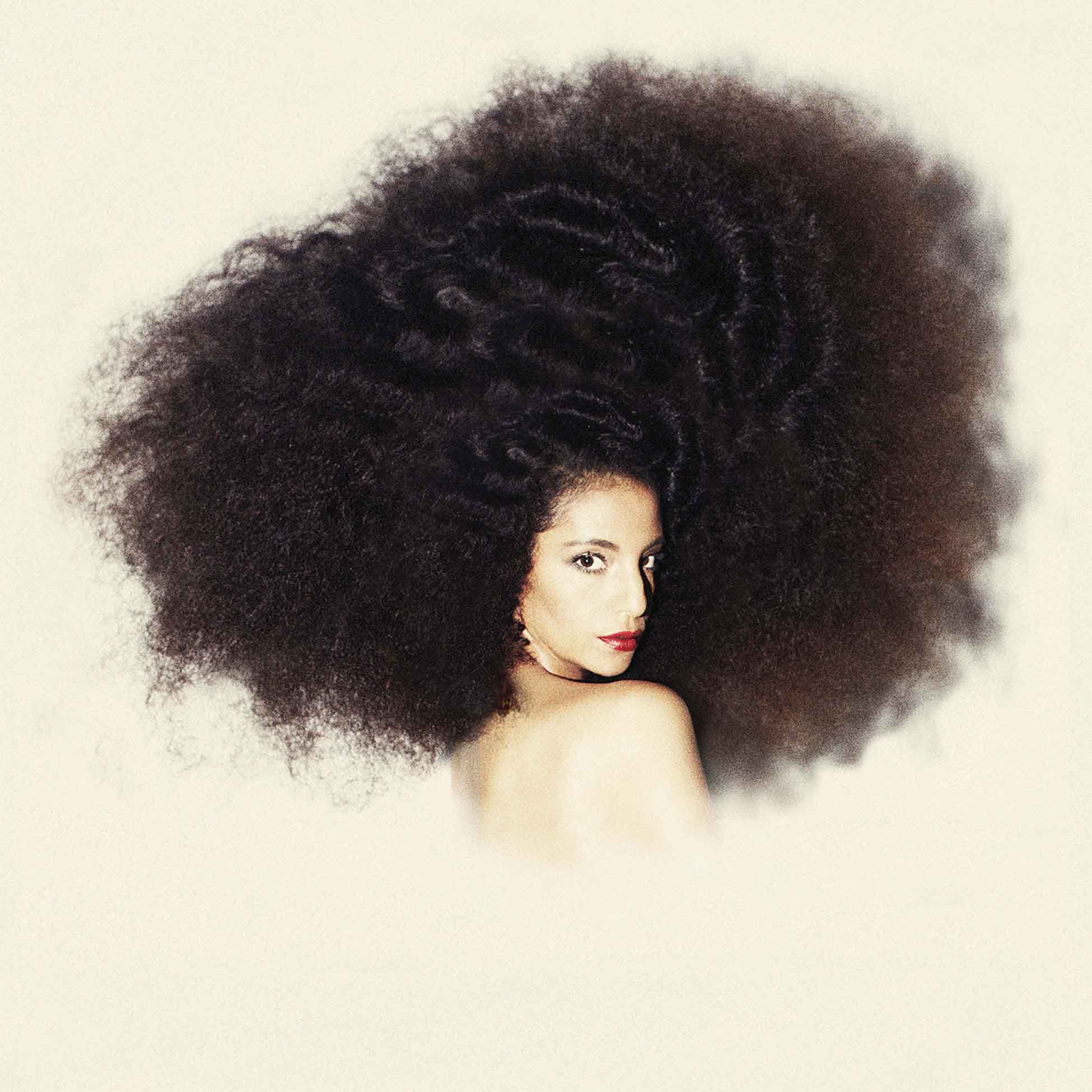 Asile Exquis - Front Cover