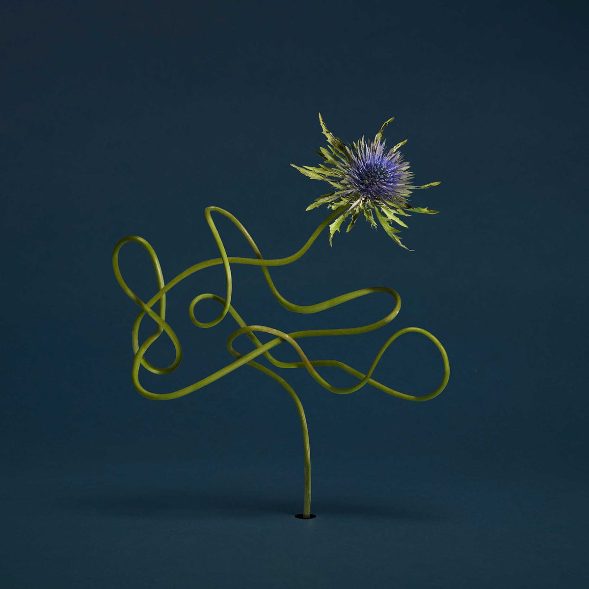 Le Mirage de Zo - Front Cover