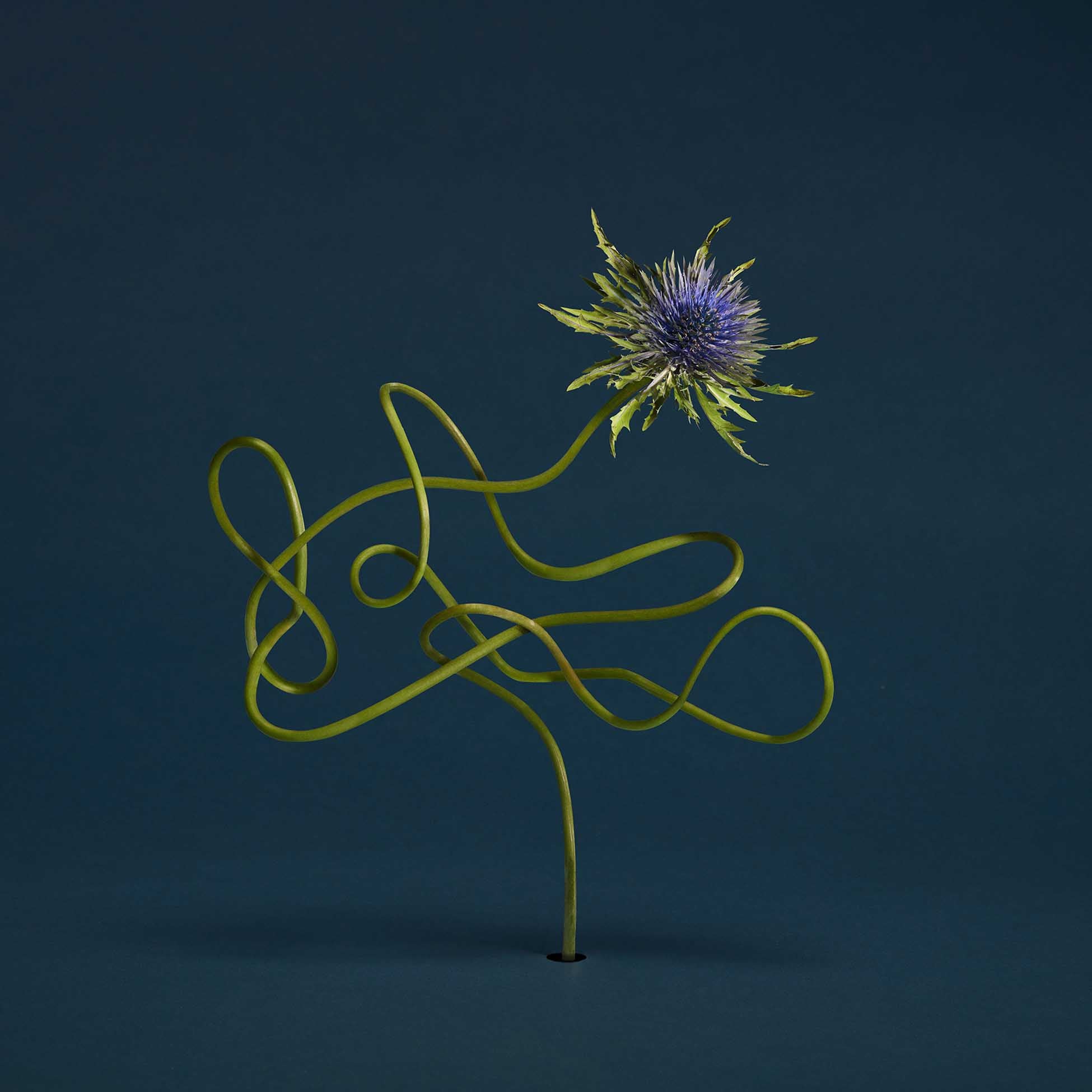 Le Mirage de Zo - Front Cover