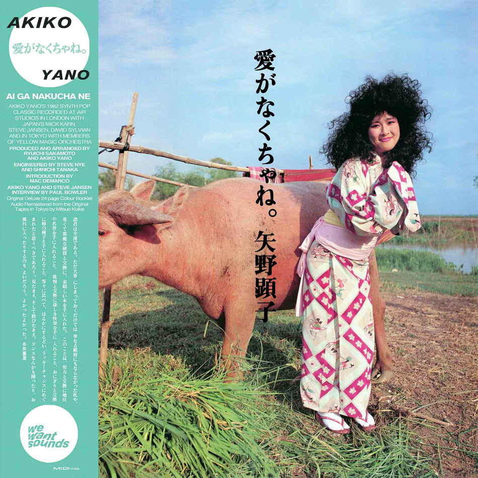 Ai Ga Nakucha Ne - Front Cover