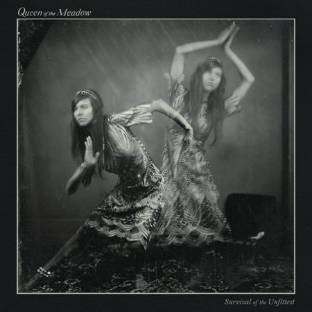 Survival Of The Unfittest - Front Cover
