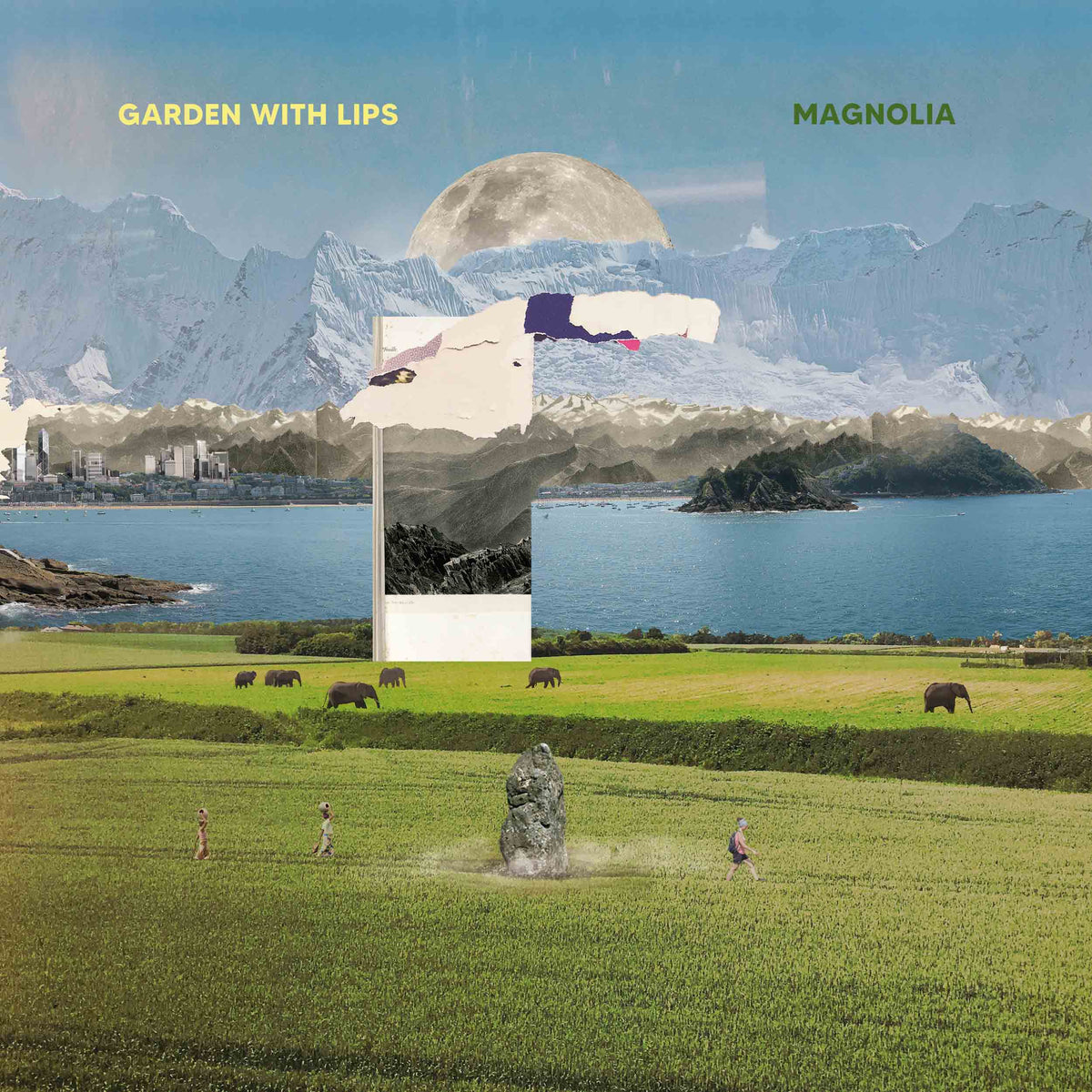Magnolia - Front Cover
