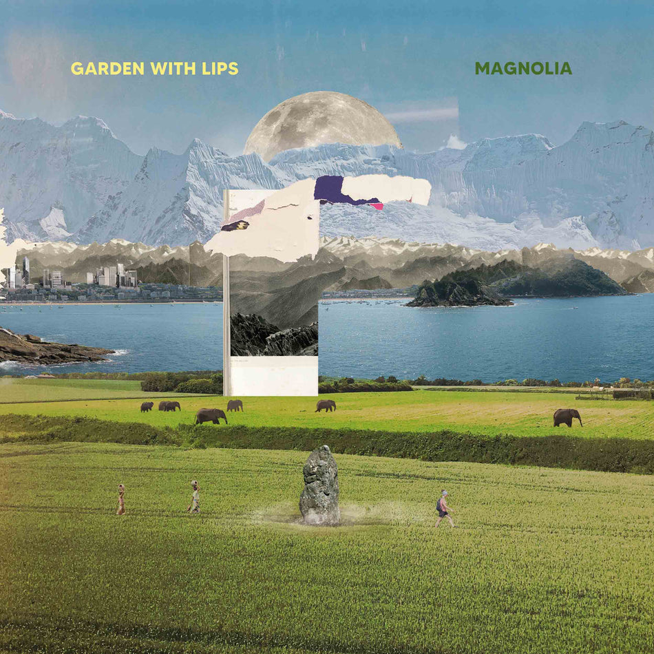 Magnolia - Front Cover