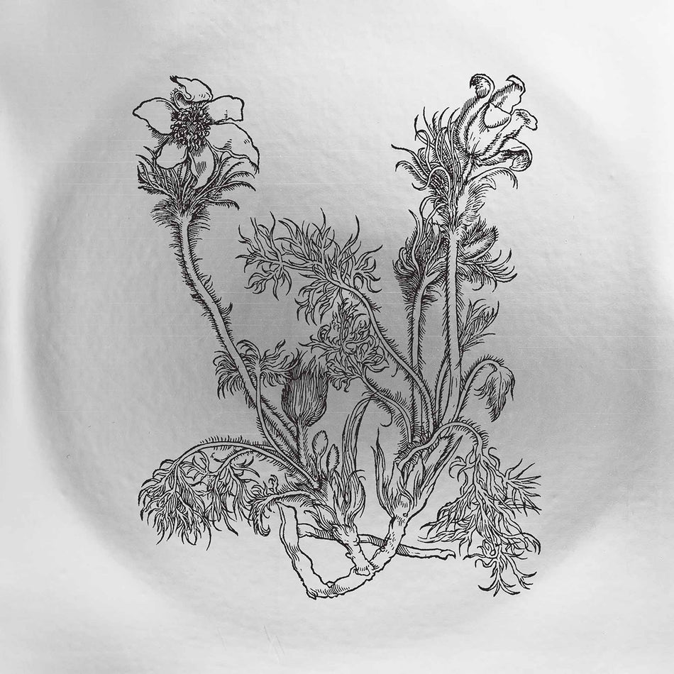 Fresques Sur Les Parois Secrètes Du Crâne - Vinyle Blanc 180 Gr - Front Cover