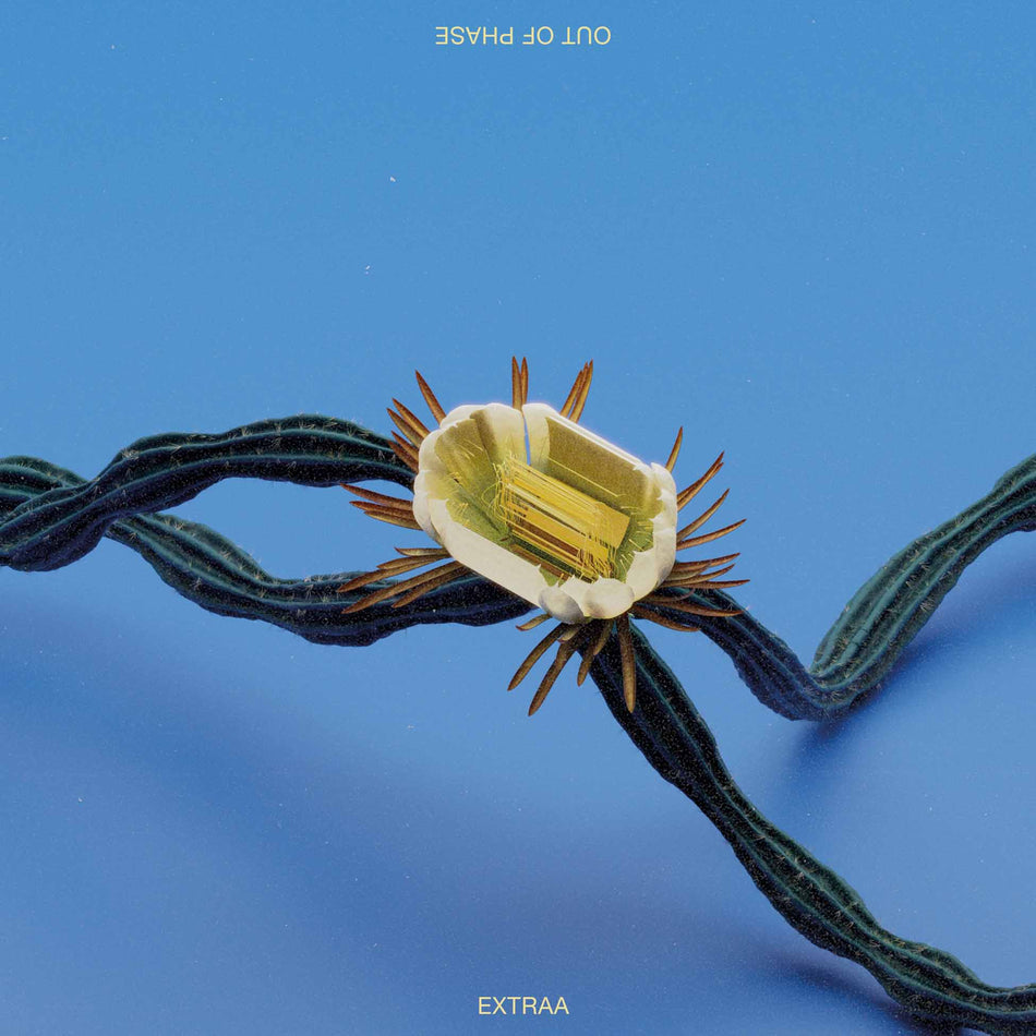 Out Of Phase - Front Cover