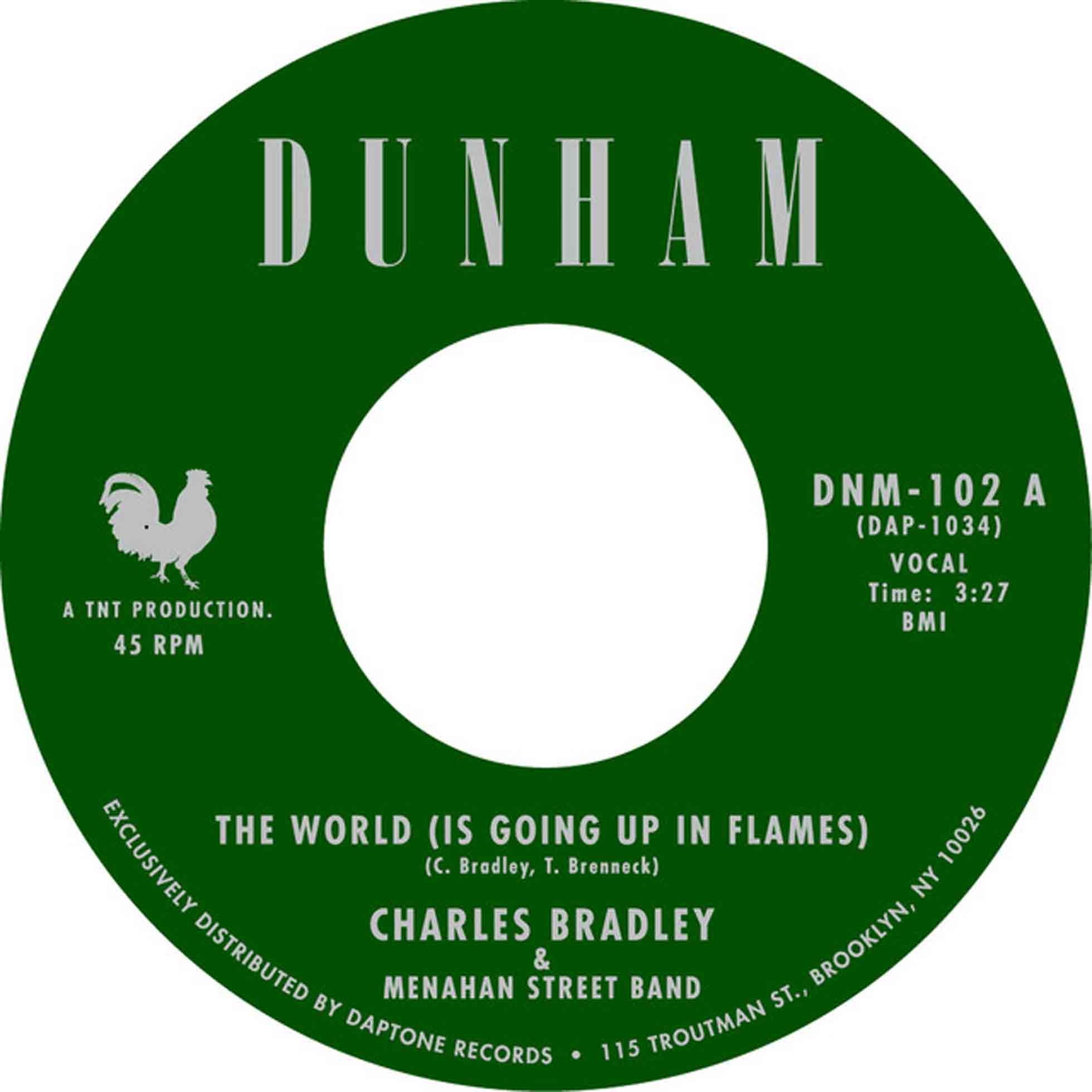 The World (Is Going Up In Flames) - Front Cover