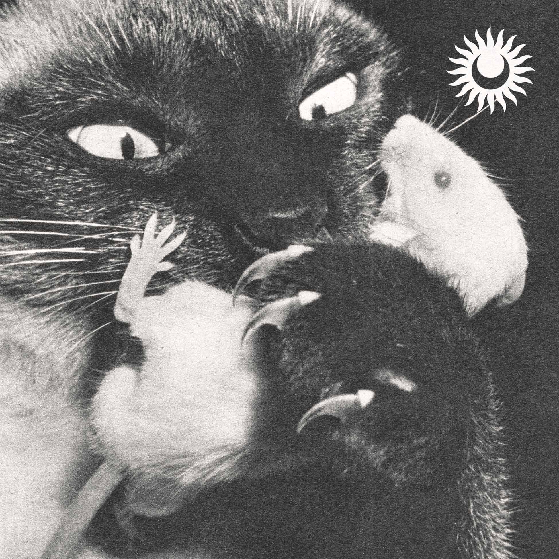 Monsters - Front Cover
