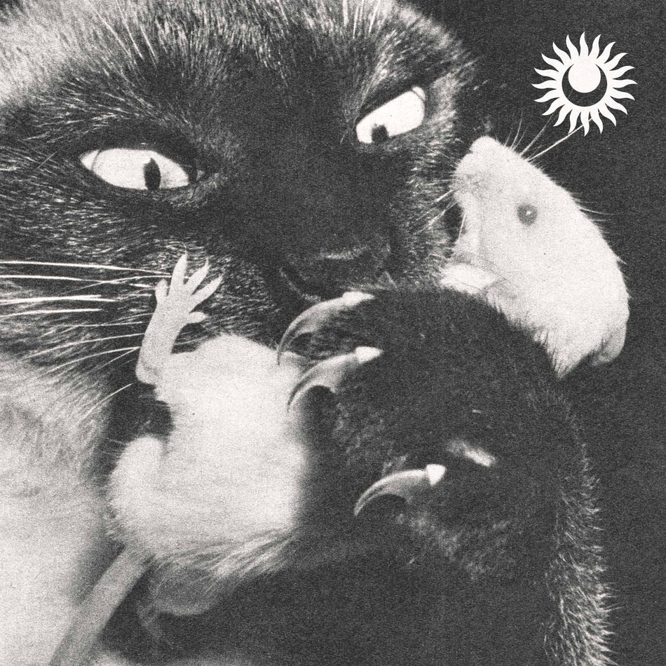 Monsters - Front Cover