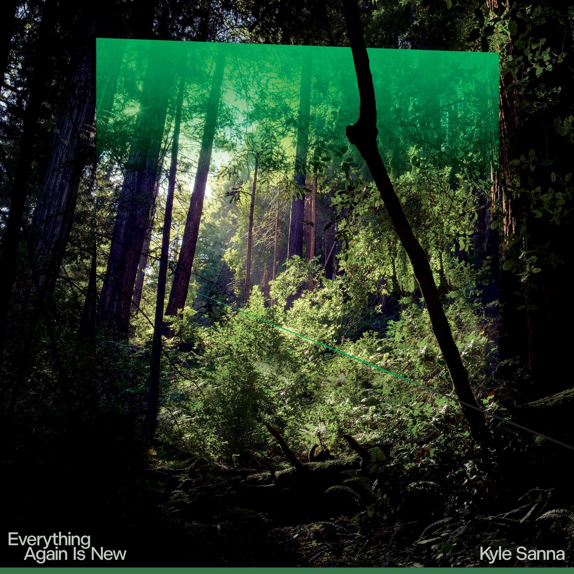 Everything Again Is New - Front Cover