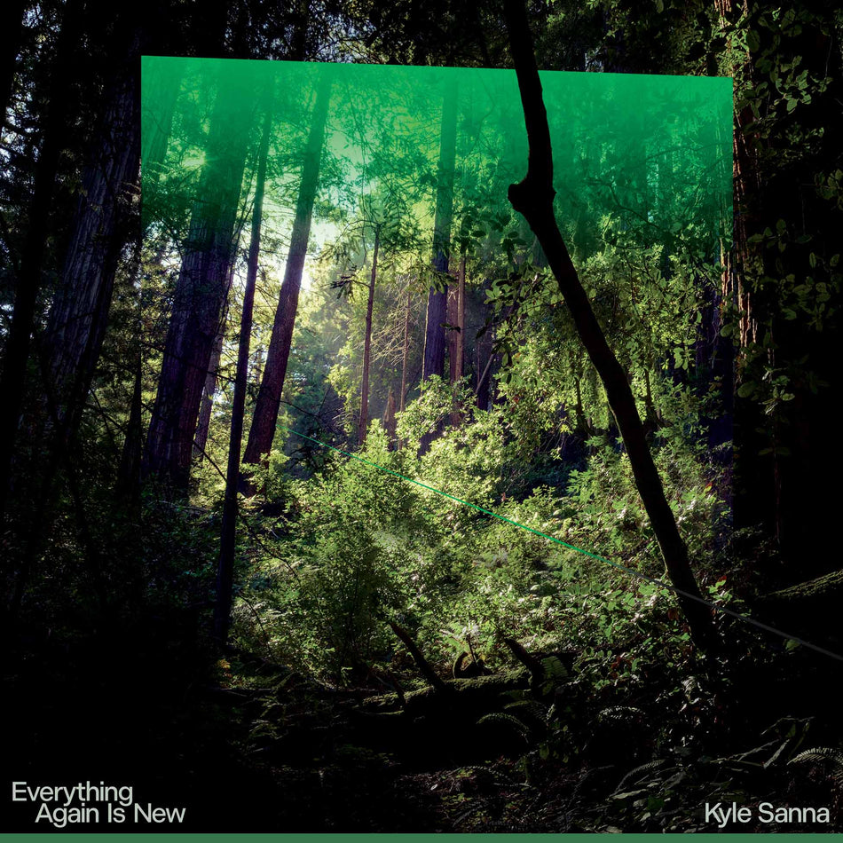 Everything Again Is New - Front Cover