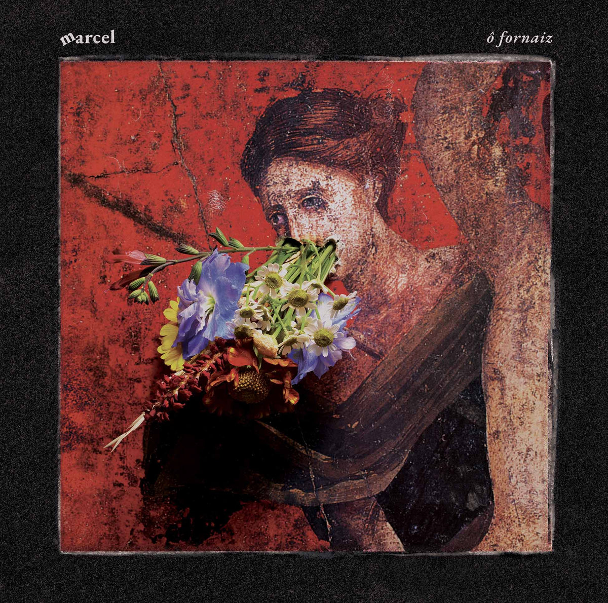 O Fornaiz - Front Cover