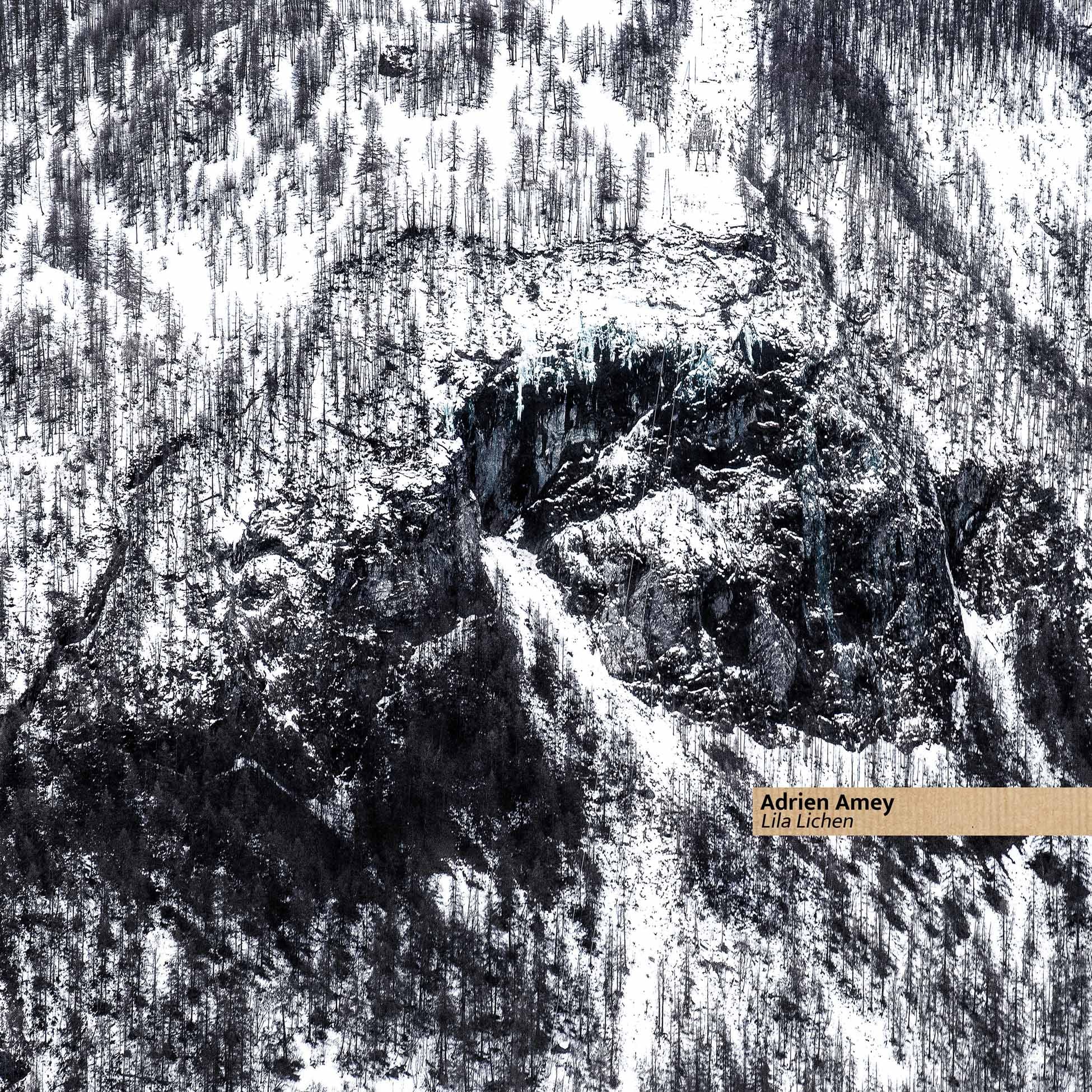 Lila Lichen - Front Cover