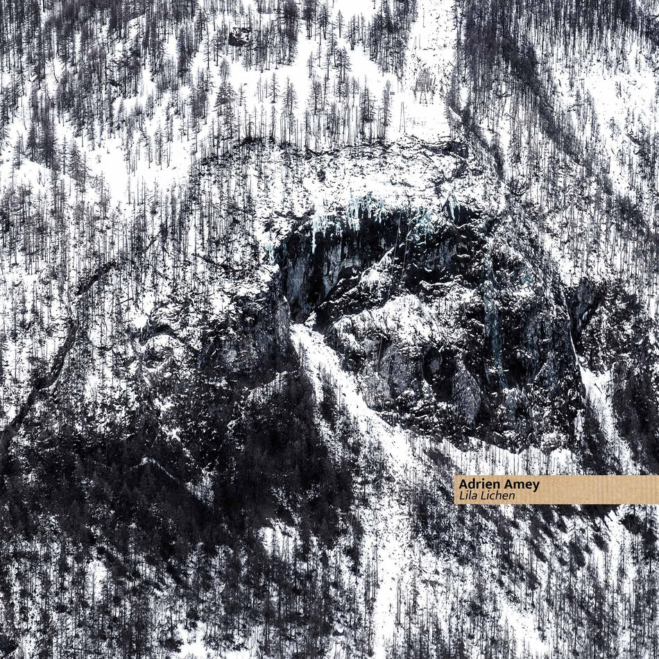 Lila Lichen - Front Cover