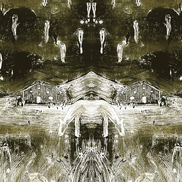 Tadpoles - Front Cover