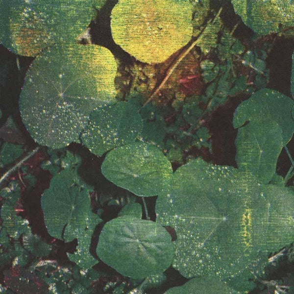 About Honey - Front Cover