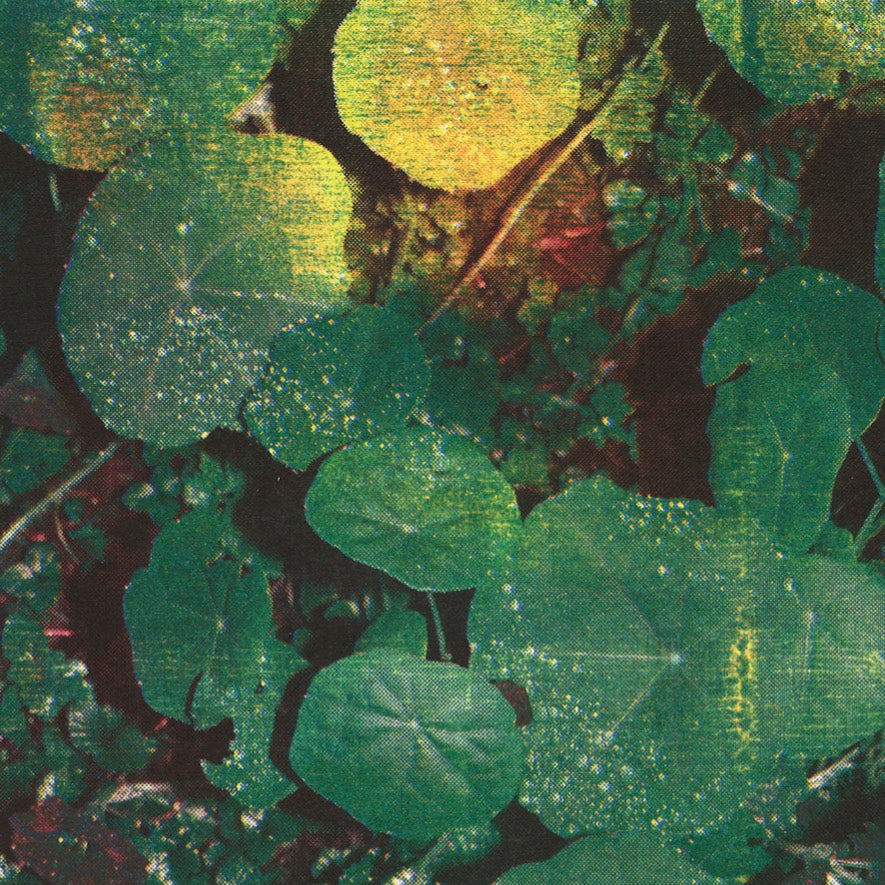 About Honey - Front Cover