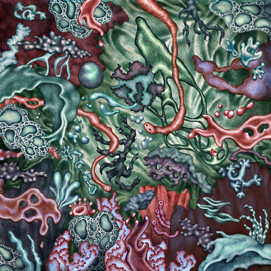 Vague Scélérate - Front Cover