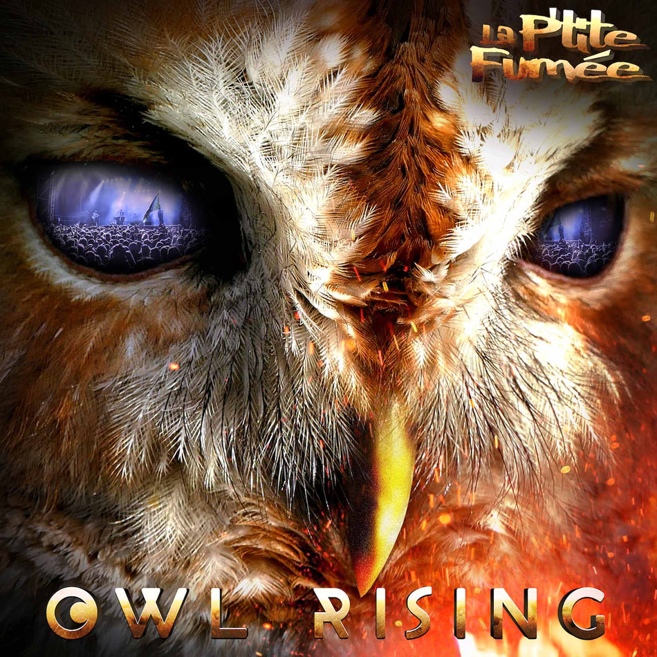 Owl Rising - Front Cover