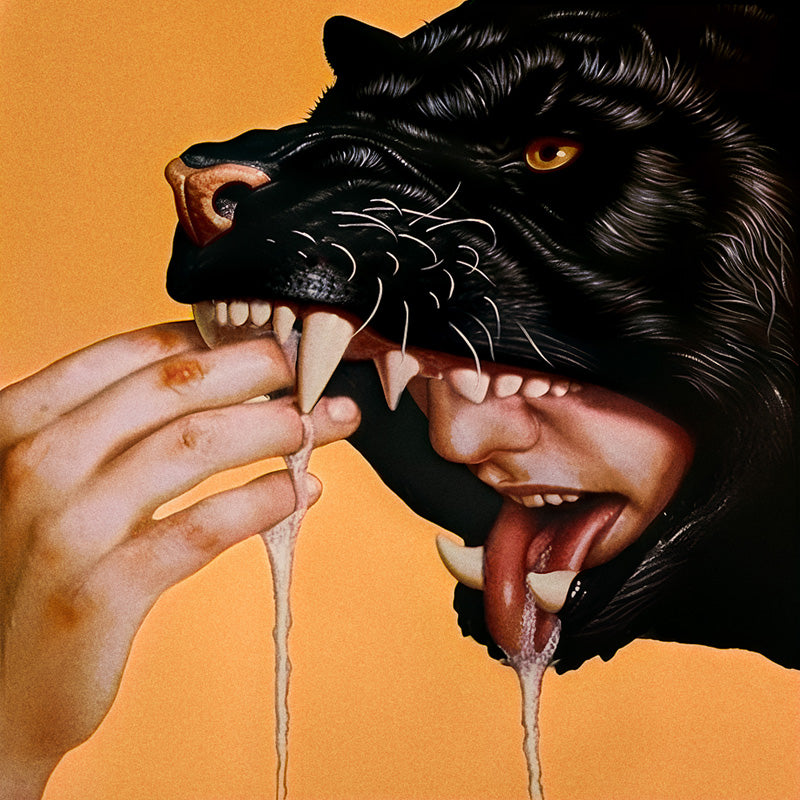 SURVIVAL MODE - Front Cover