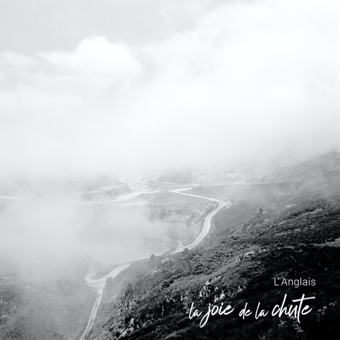 La Joie De La Chute - Front Cover